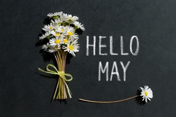 Hello May with Flowers