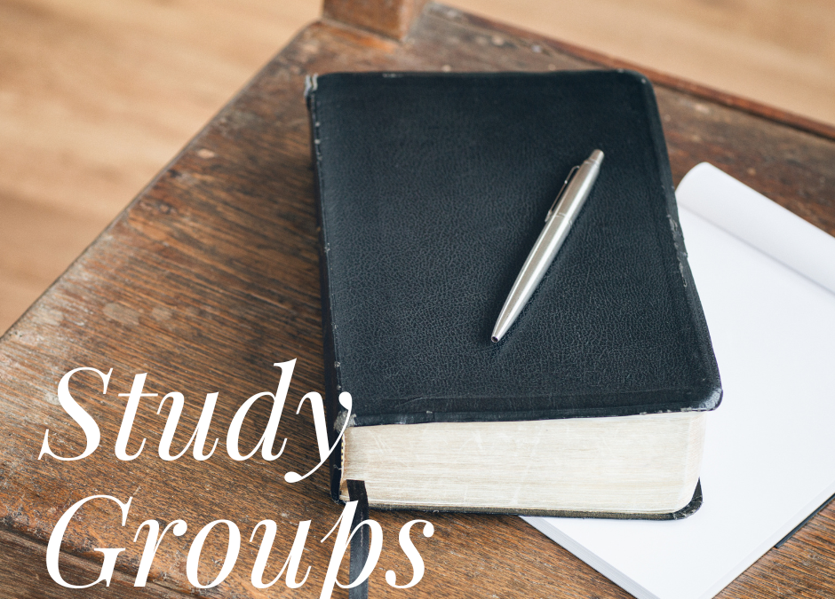 Pastor Study Groups
