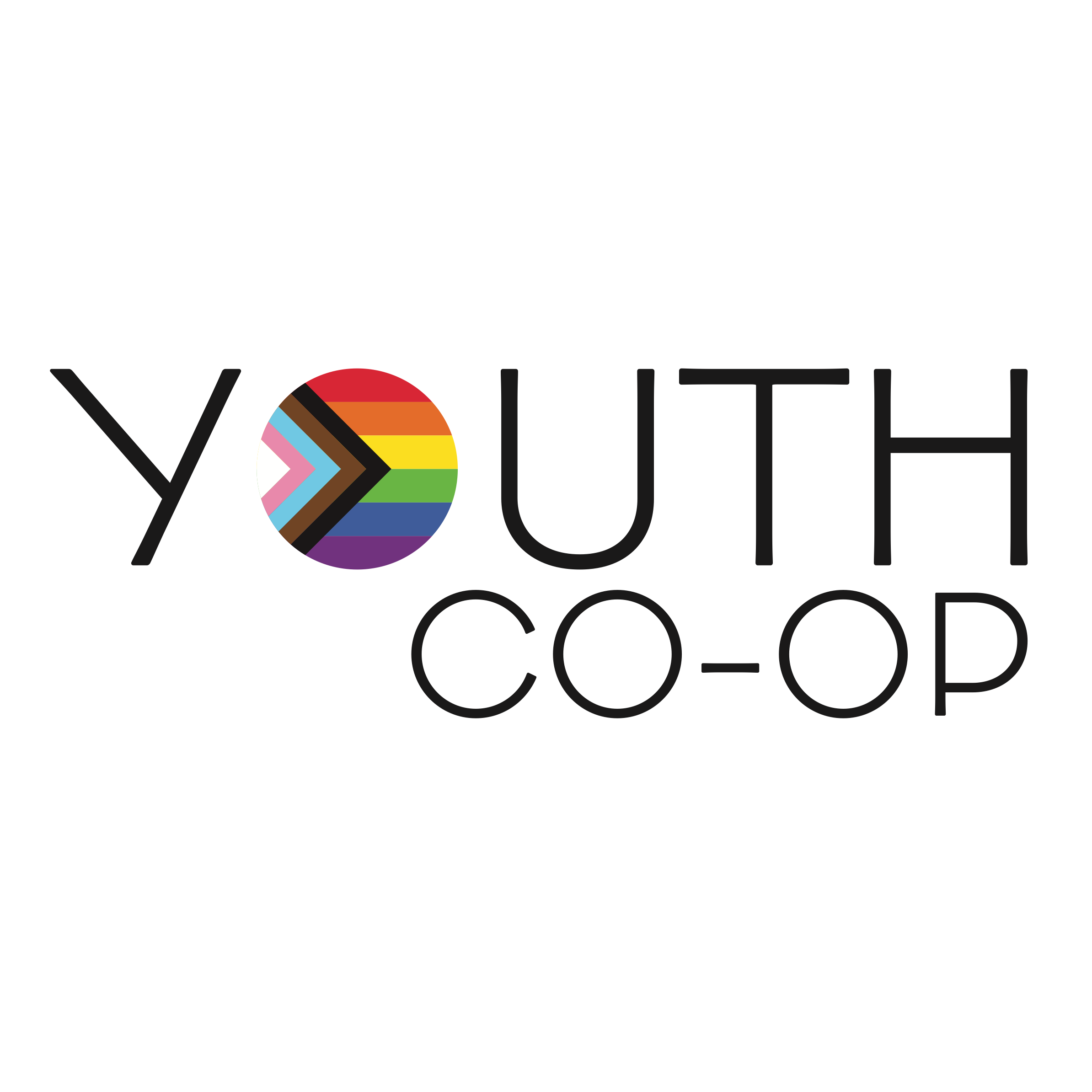 Youth Co-op News – November 2024