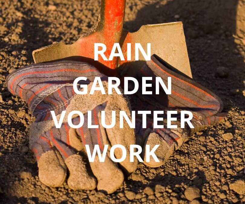 Rain Garden Volunteer Work