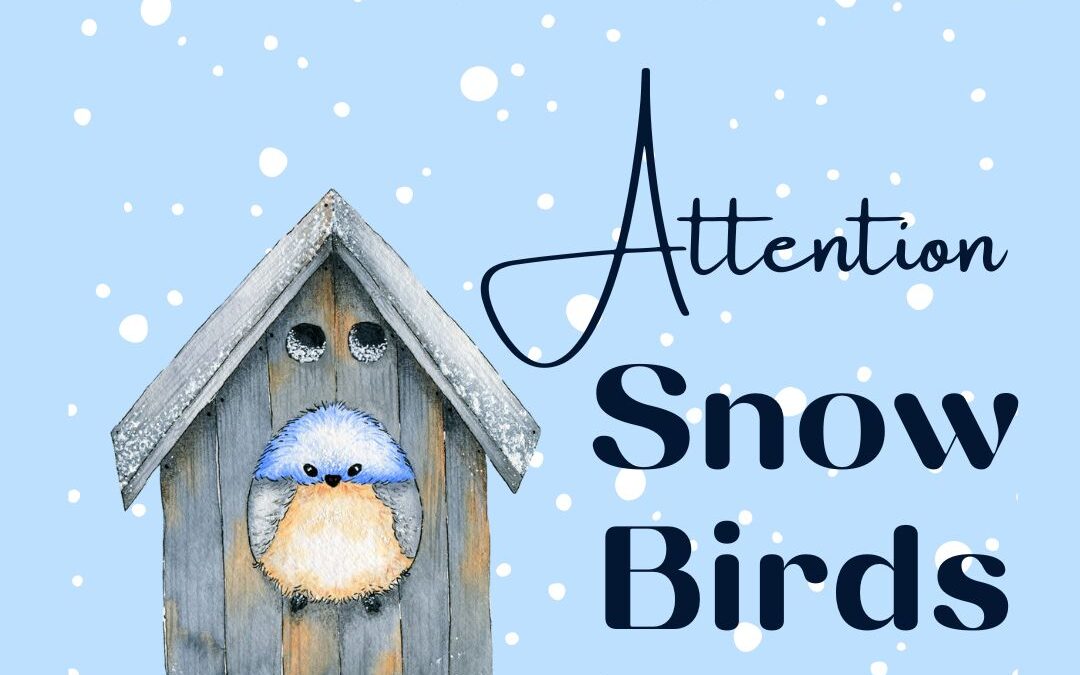 Attention Snow Birds