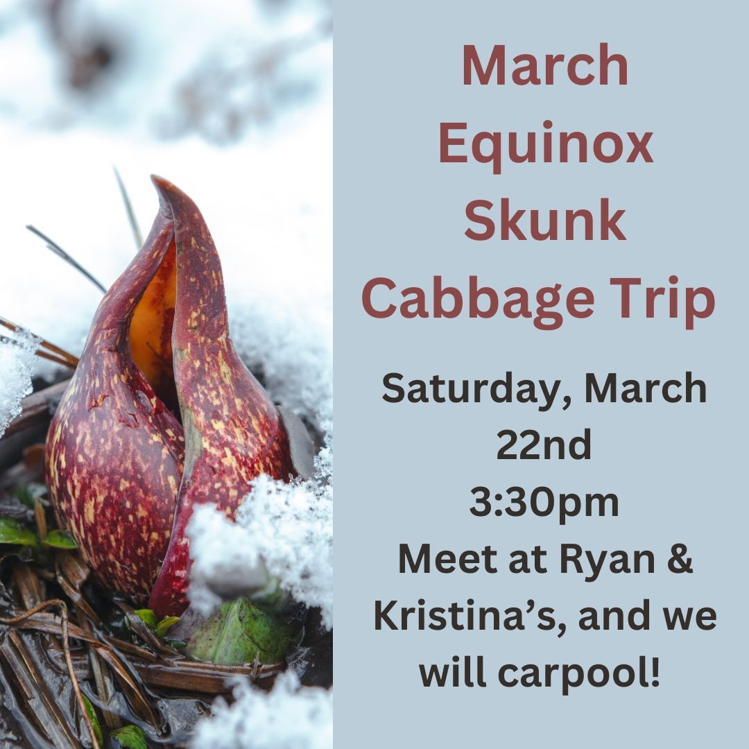 NOURISHED: March Equinox Skunk Cabbage Trip