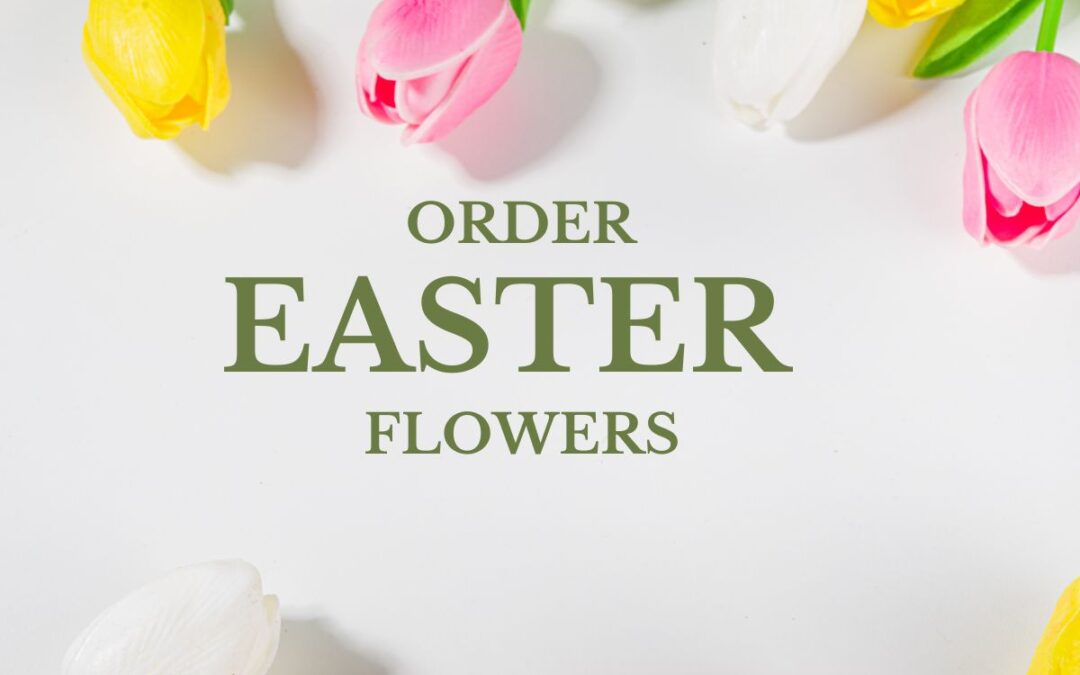 Purchase Lilies or Tulips for the Alter for Easter