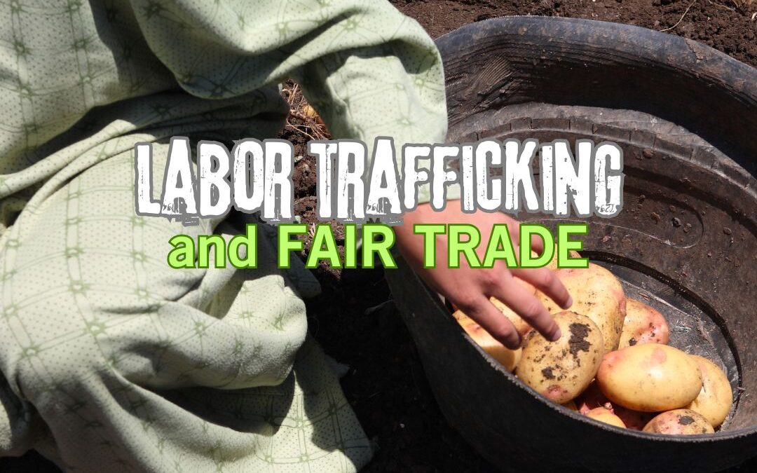 United Women in Faith – Learn about Fair Trade and Labor Trafficking