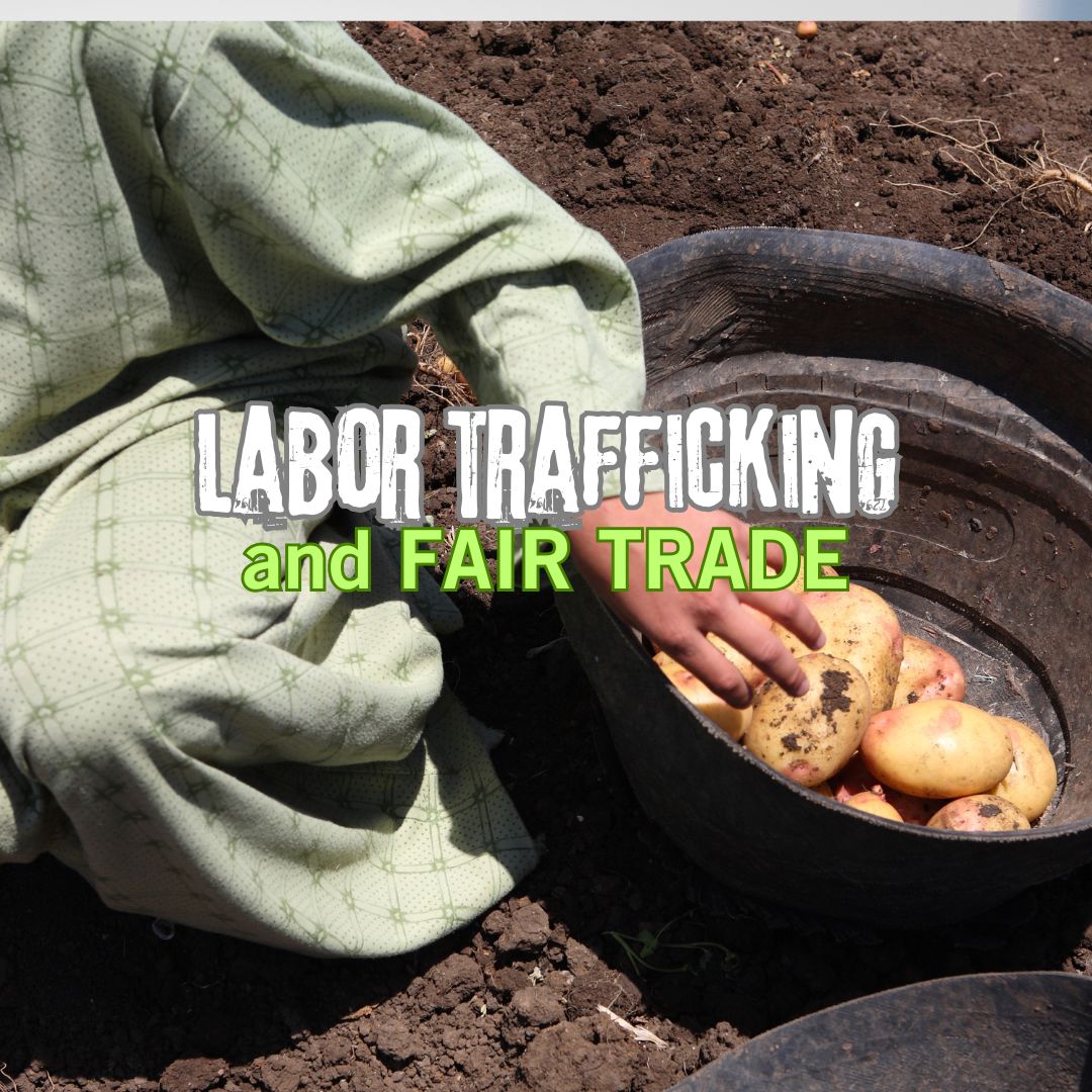 United Women in Faith – Learn about Fair Trade and Labor Trafficking