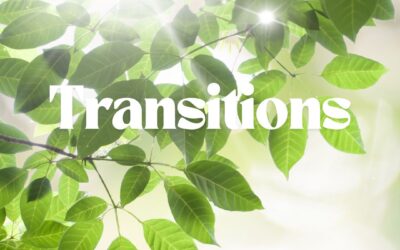 Transitions – by Pastor Kristina