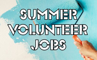 Volunteer Summer Jobs at Lovely Lane
